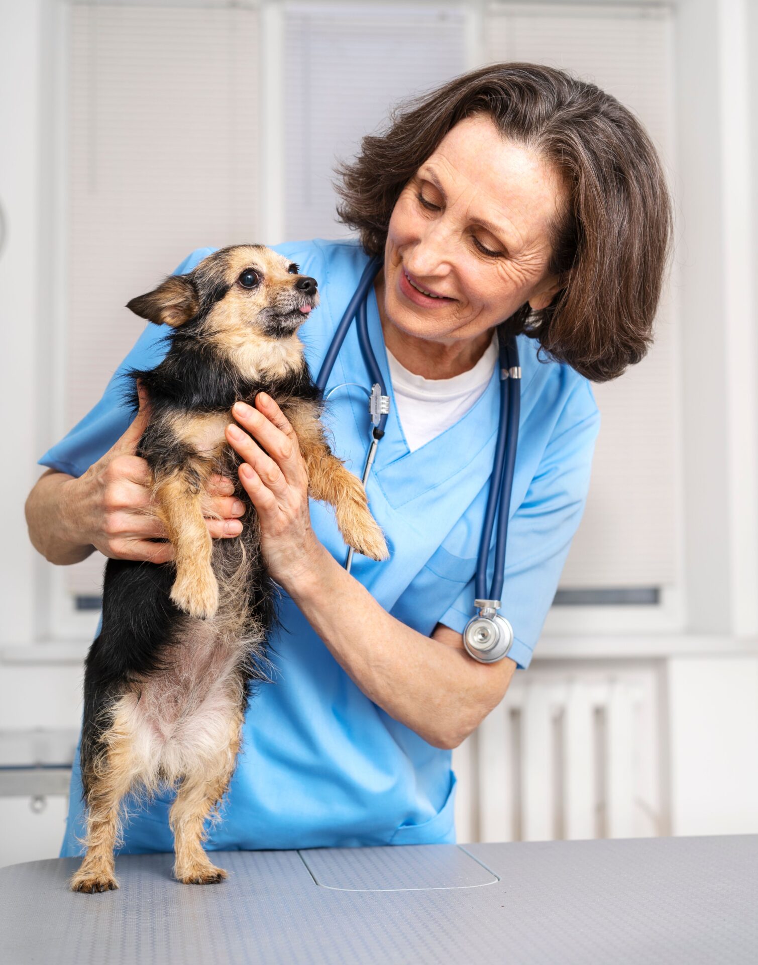 A doctor taking the dog with smile A doctor taking the dog with smile